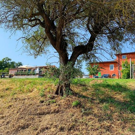 Villino Al Dotto Country House Lucca Esterno foto